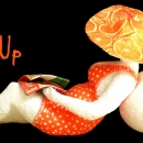 bigpinupliseuseorange300dpicmjndetour_0